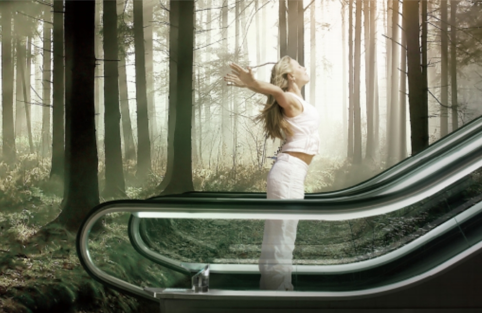 Escalators & Moving Walks